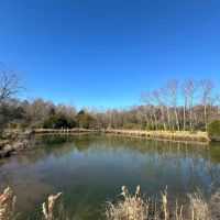 Hatton Homestead Tract 4C images 3