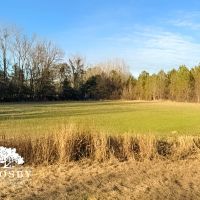 Rimini Tract