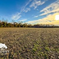 Rimini Tract images 3