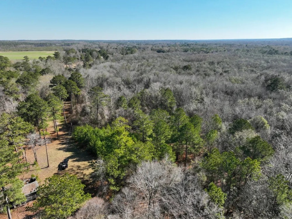 18.5 Acres in Tallassee featured image