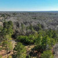 18.5 Acres in Tallassee images 3