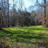 18.5 Acres in Tallassee images 4