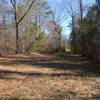 18.5 Acres in Tallassee images 5
