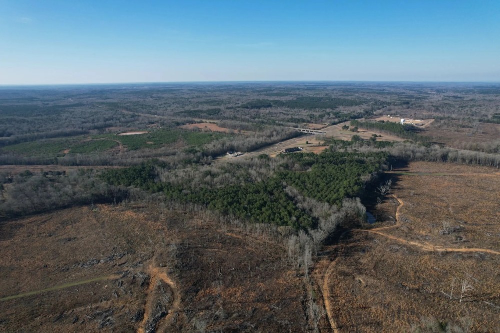 71 Acres in Holmes County MS featured image