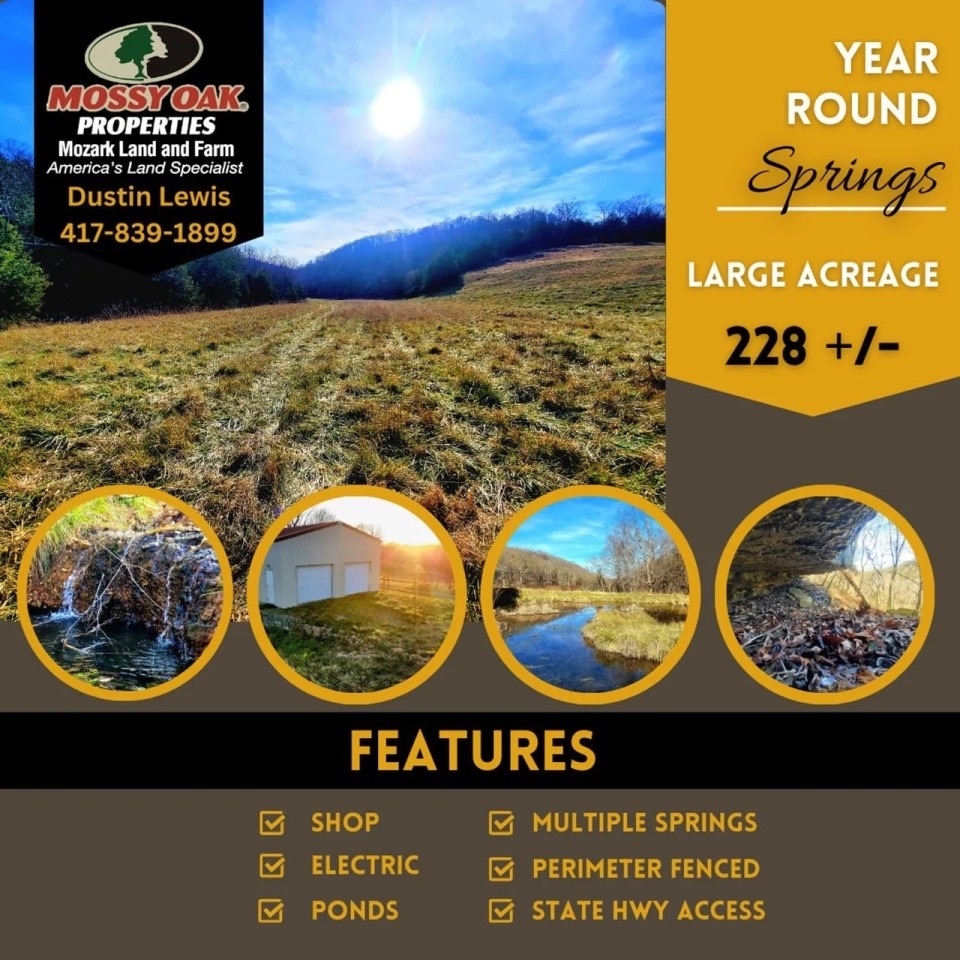 Beauty in The Hills Year Round Springs featured image