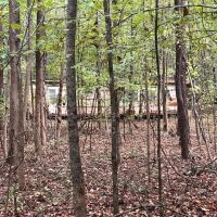 95 - Acres on a River in Taliaferro County Georgia images 3