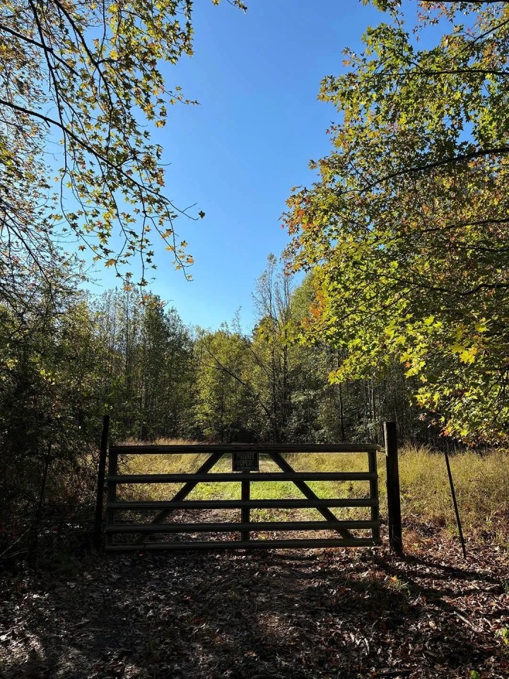 261.5 Acres in Lafayette County MS featured image