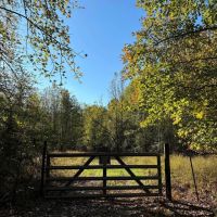 261.5 Acres in Lafayette County MS
