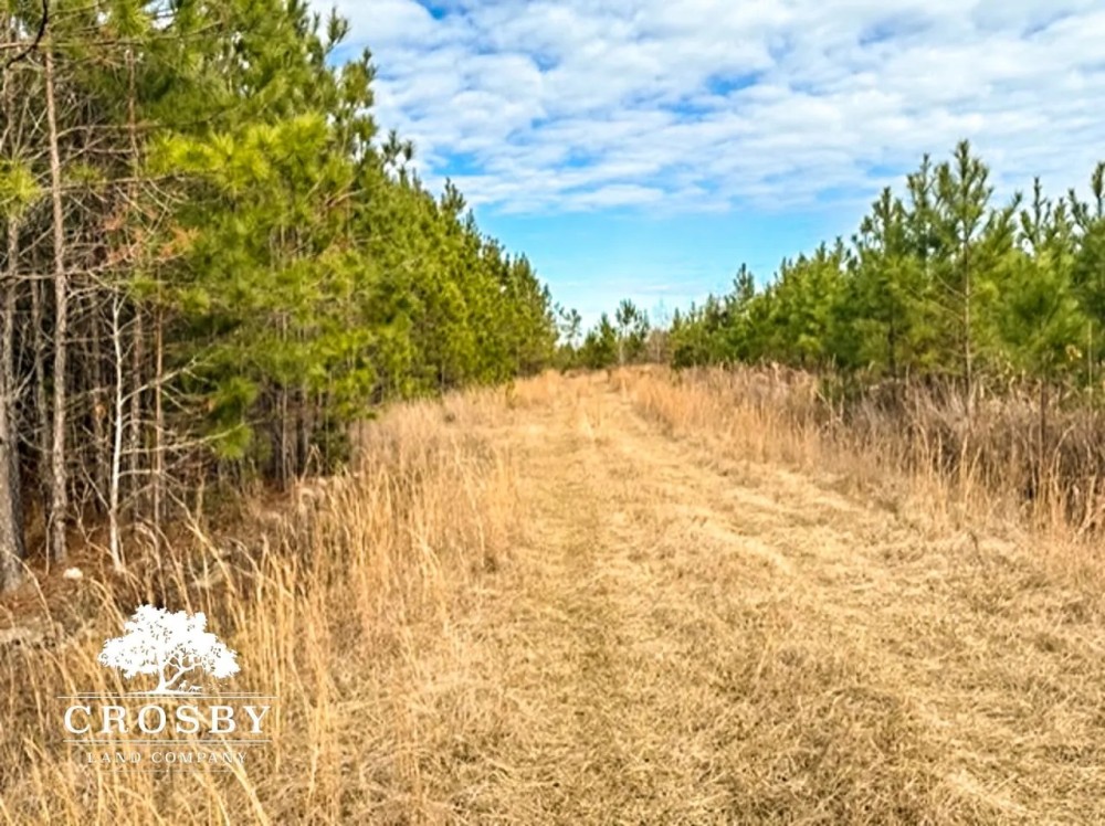 Winningham featured image