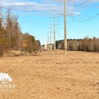 Winningham images 2