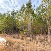 Winningham images 3