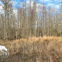Winningham images 4