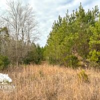 Winningham images 5