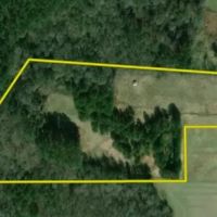 Stunning Acreage Perfect For Horses Hunting Or Building Your Dream Home images 2