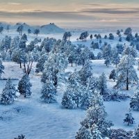 Deadhorse Creek Ranch images 2