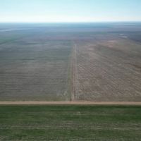 Adams Okla Dryland 160 images 2