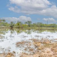 191 -Acres FM 2945 Cisco TX 76437 images 4