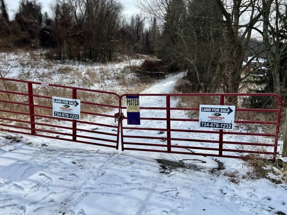 Route 40 Washington County - 87 acres featured image
