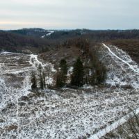Route 40 Washington County - 87 acres images 4
