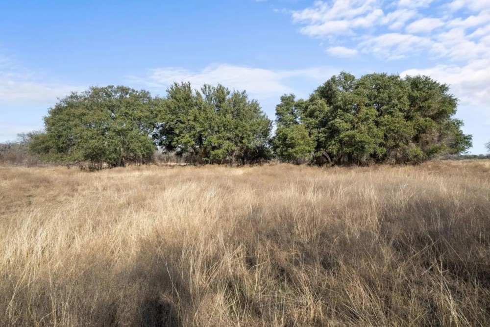 TBD FM 2201 Santo Texas 76472 featured image