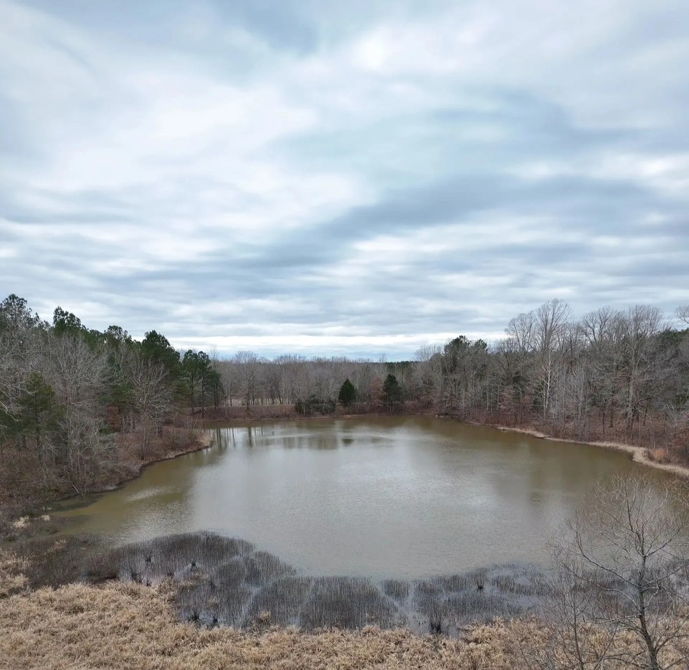 89 Acres in Benton County MS featured image