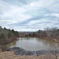 89 Acres in Benton County MS