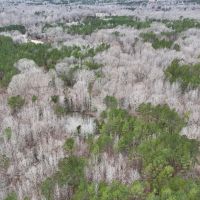89 Acres in Benton County MS images 2