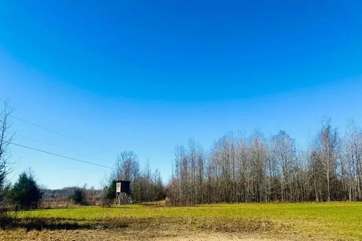 10 Acres in Holmes County in Lexington MS featured image