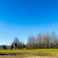 10 Acres in Holmes County in Lexington MS