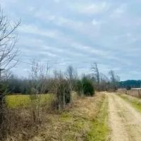 10 Acres in Holmes County in Lexington MS images 3