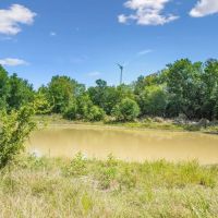172 -Acres Armstrong Ln Bryson TX