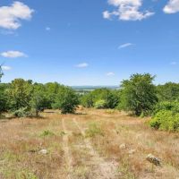 172 -Acres Armstrong Ln Bryson TX images 3