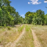 172 -Acres Armstrong Ln Bryson TX images 5