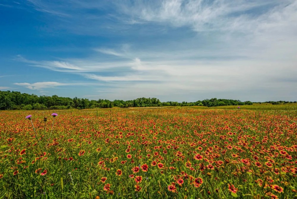 Milburn Ranch featured image