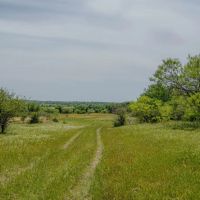 Milburn Ranch images 5