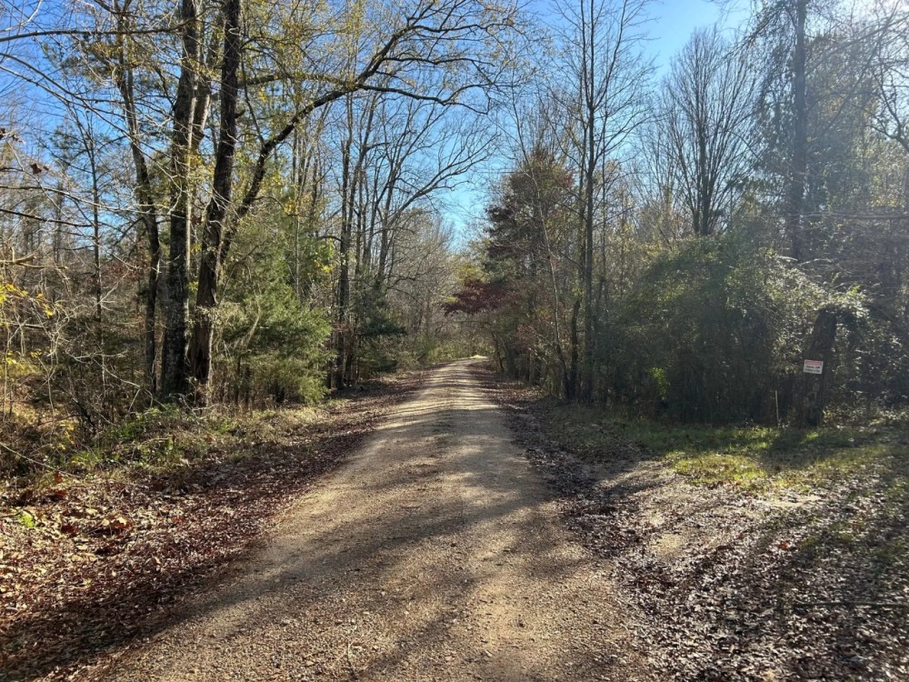 53.33 Acres in Hinds County MS featured image