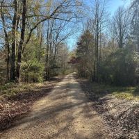 53.33 Acres in Hinds County MS