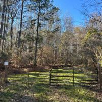 53.33 Acres in Hinds County MS images 2