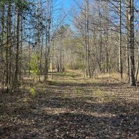 53.33 Acres in Hinds County MS images 4