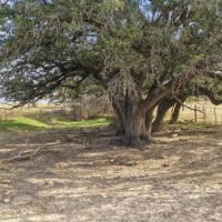 747 Natty Flats Road Lipan Texas 76462 images 5