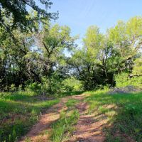 237 - Acres Co Road 137 Cisco TX 76437 images 4