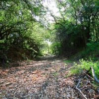 237 - Acres Co Road 137 Cisco TX 76437 images 5
