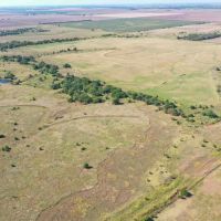 160 Acres Grass Timber Pond Hunting More images 5