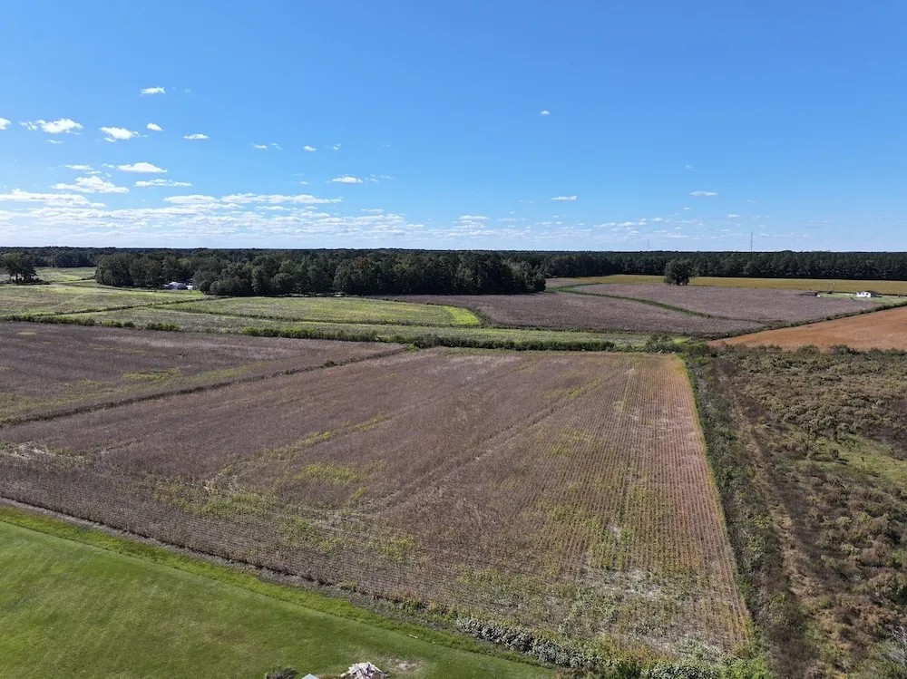 Cleared Vacant Property Minutes From 58 Highway featured image