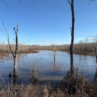 LA - Catahoula 196 acres -