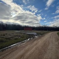 LA - Catahoula 196 acres - images 2