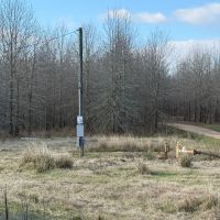 LA - Catahoula 196 acres - images 4