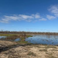 LA - Catahoula 196 acres - images 5