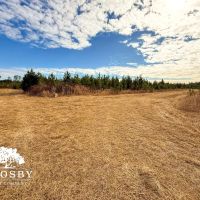 Chubb images 5