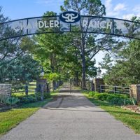 400 - AC Cattle Ranch in Okmulgee images 4